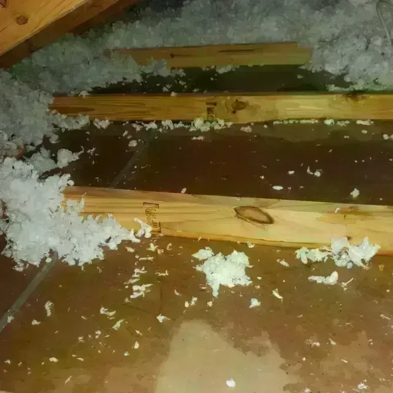 Attic Water Damage in Unionville, MO